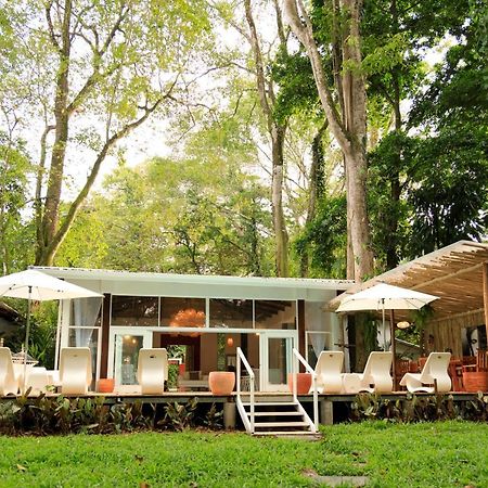 Gigi Brown Villa Frida Beachfront Puerto Viejo de Talamanca Exterior foto
